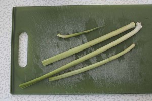 Cattails ready to cook