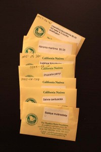 Seeds from Payne Foundation