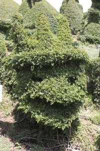 gonzo-topiary-smiling-head