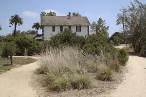 mccoy-house-with-grasses