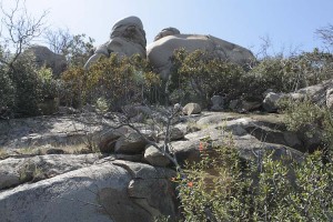 mission-trails-fortuna-peak-boulders