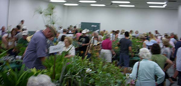 Inside the plant sale