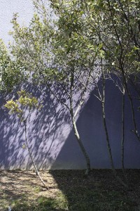 purple-wall