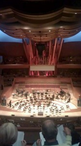 Disney Hall interior with the french fries