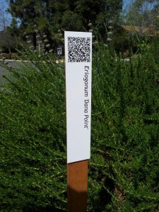 One of the tour signs, with a QR code at the top that leads you to a page with information about the plant